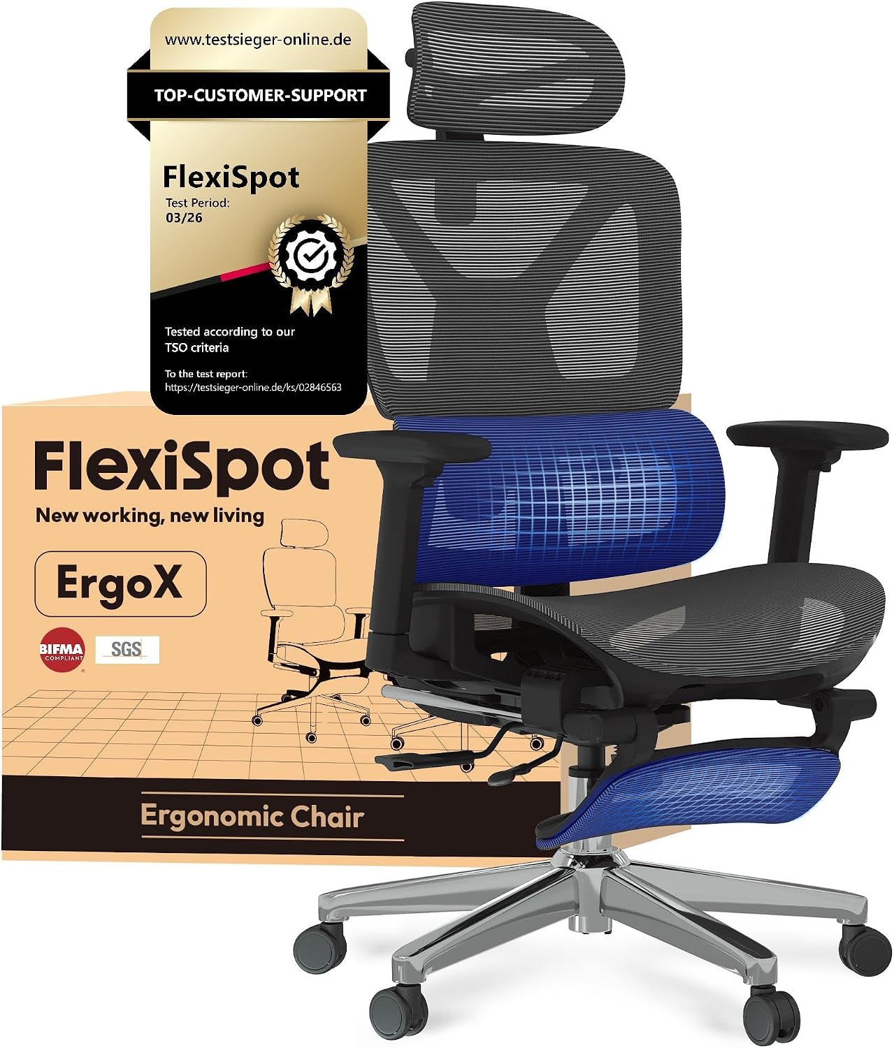 FLEXISPOT Ergonomischer Bürostuhl ErgoX Lite Grau